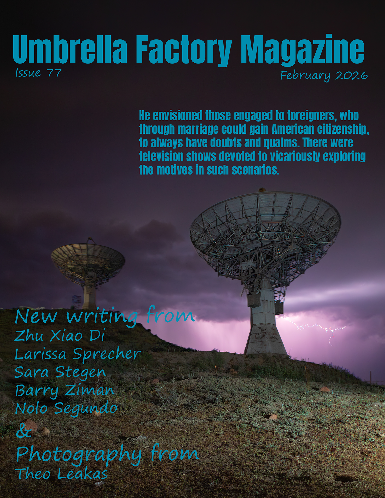 Night sky, purple, umbrella tree.